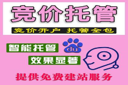 百度推广公司——大品牌背后的广告策略揭秘